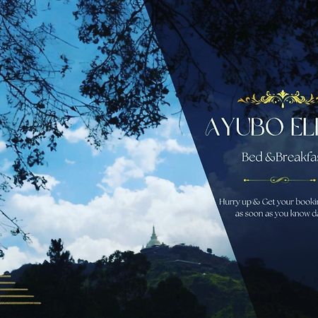 Ayubo Ella - Bed & Breakfast Eksteriør bilde